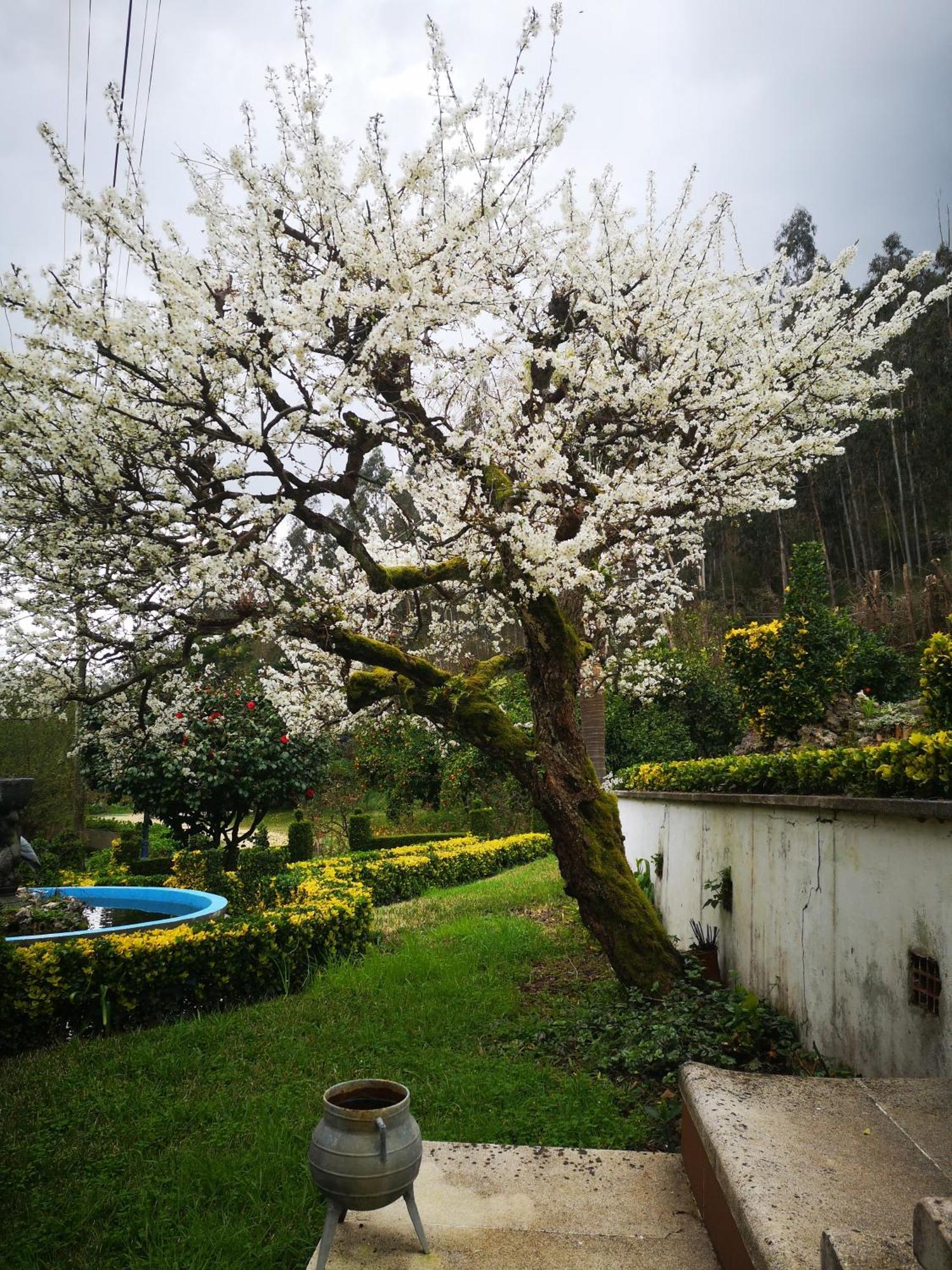 Quinta Das Aguias Aveiro Exterior foto